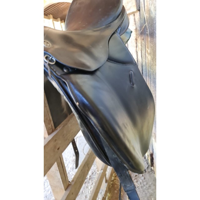 Selles dressage