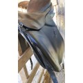 Selles dressage