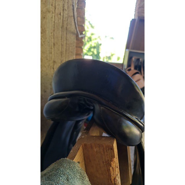Selles dressage