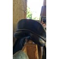Selles dressage