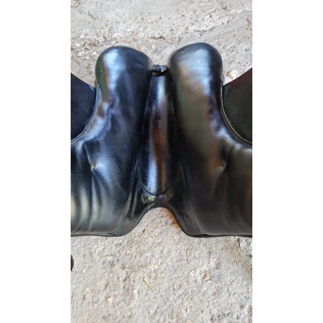 Selles dressage
