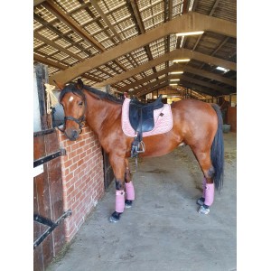 Selle de dressage ISABELLE WERTH