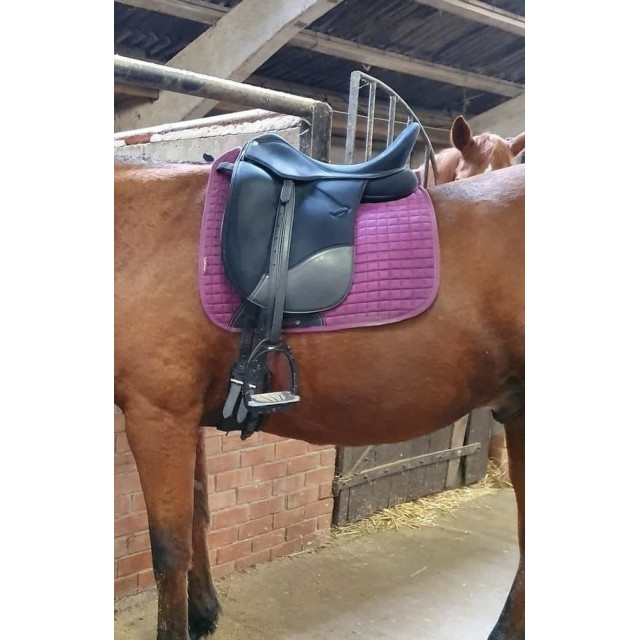 Selle de dressage ISABELLE WERTH