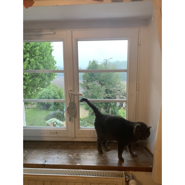 Selle wintec 17 pouces