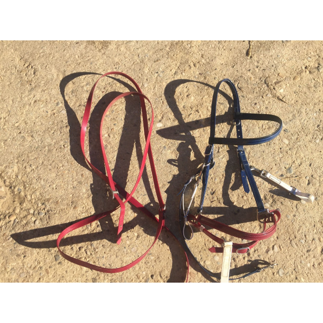 bridon licol biothane tricolore