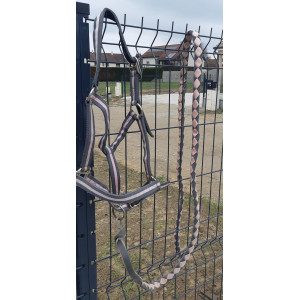 Licol gris et rose + longe associée