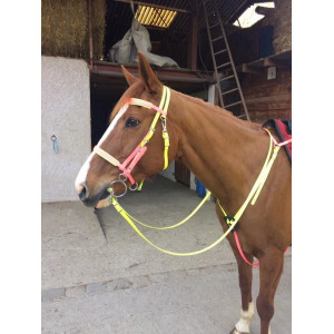 collier de chasse biothane rose et jaune fluo