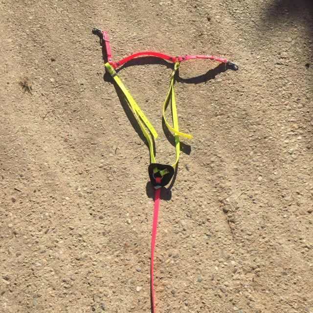 collier de chasse biothane rose et jaune fluo