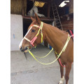 Bridon licol Bicolore rose et jaune fluo