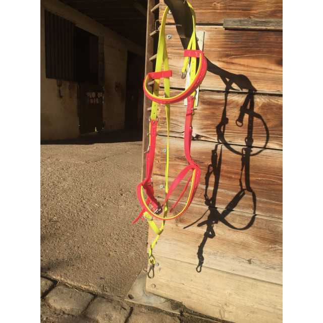 Bridon licol Bicolore rose et jaune fluo