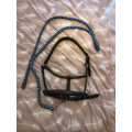 Licol cuir