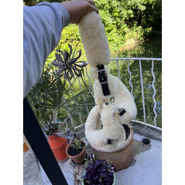 licol mouton kramer taille cob