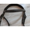 Bridon Privilège Équitation taille pur-sang
