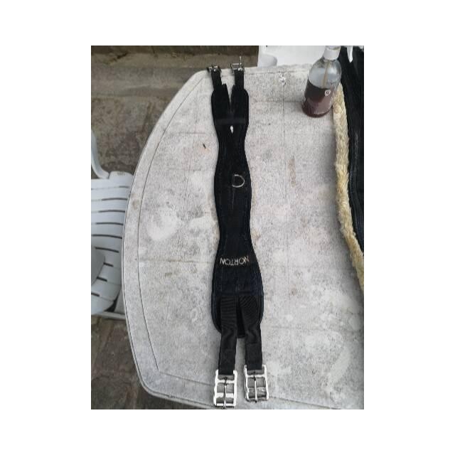 Sangle courte selle dressage cheval taille 85cm Neoprene Marque norton