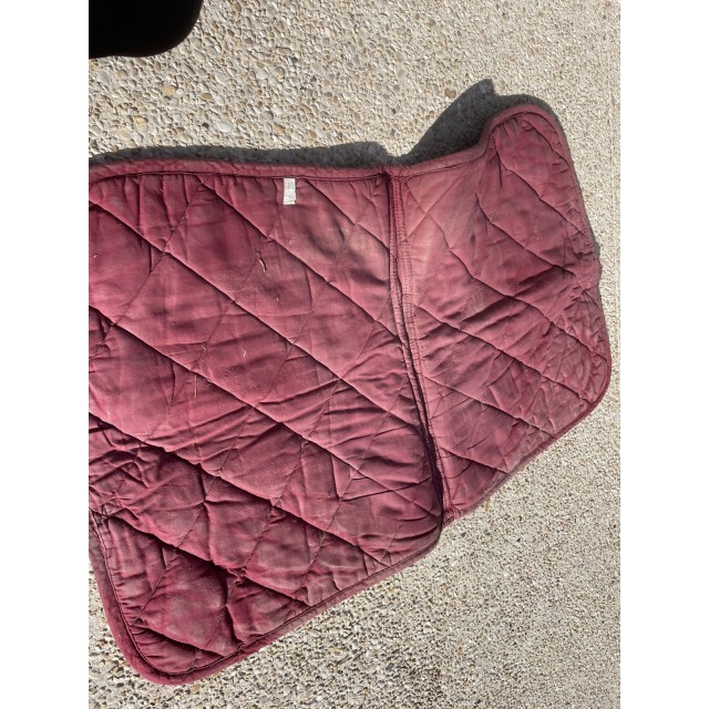 Tapis bordeaux dressage