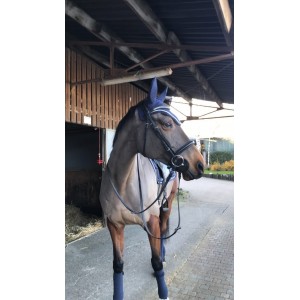 Ensemble bleu marine