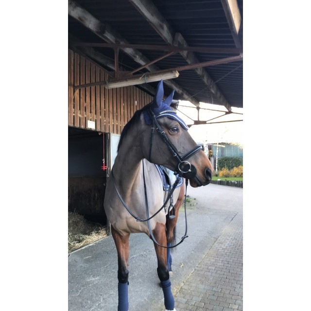 Ensemble bleu marine