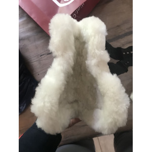 Protège boulet kentucky