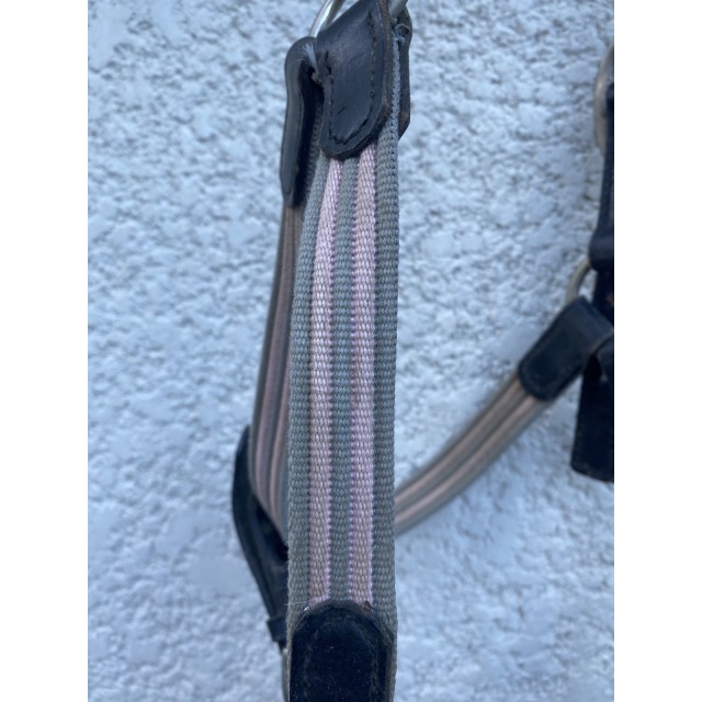 Licol gris et rose avec cuir