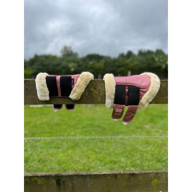 Guêtre dressage FELIX BHULER