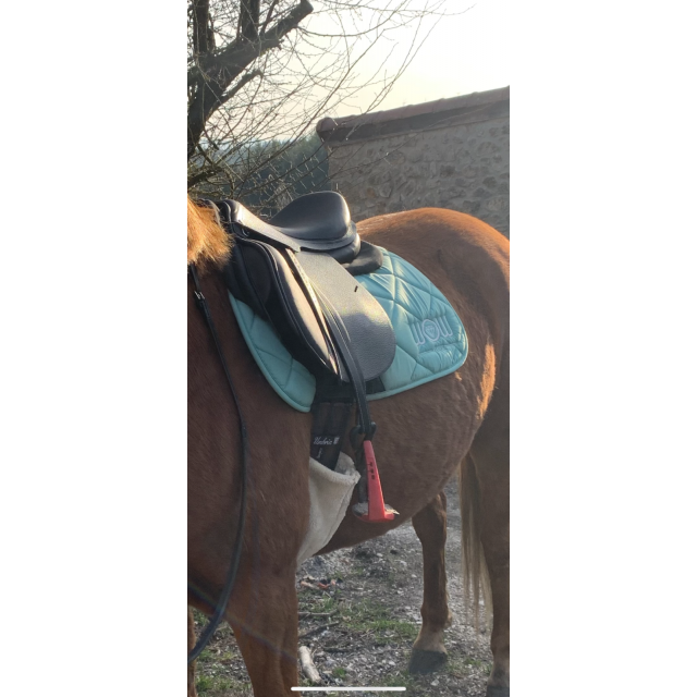Tapis de selle