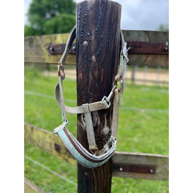 Licol bleu turquoise