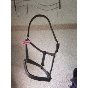 licol en cuir huilé marron NEUF