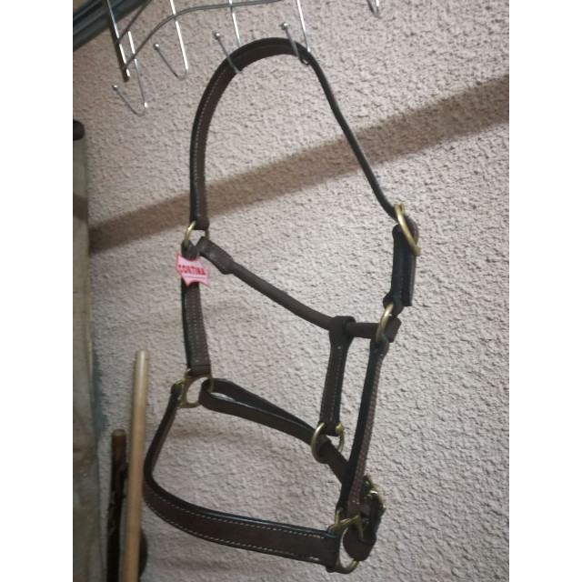 licol en cuir huilé marron NEUF