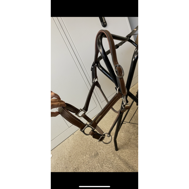 licol jump’in cuir