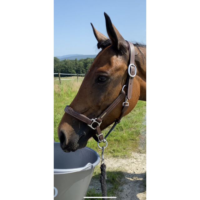 licol jump’in cuir