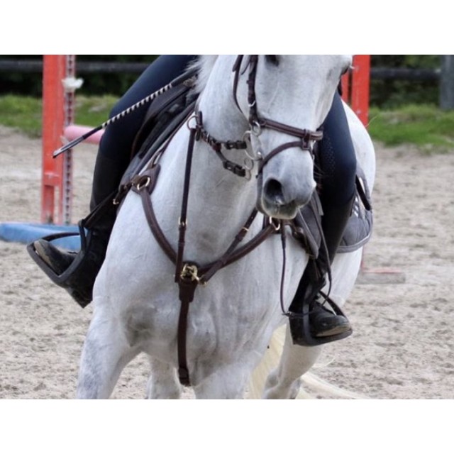 Collier de chasse martingale Time rider