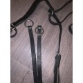Collier de chasse fouganza