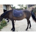 Tapis de dressage