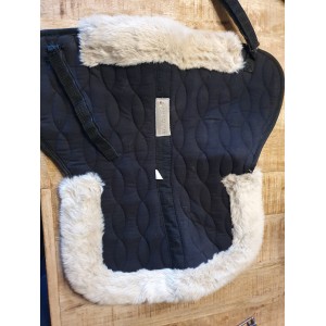 Amortisseur waldhaussen