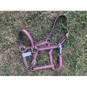 Licol nylon gris bordeaux