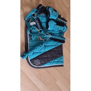 Lot équitation bleu