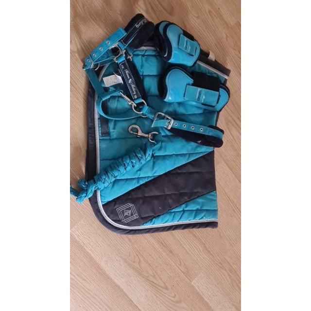 Lot équitation bleu