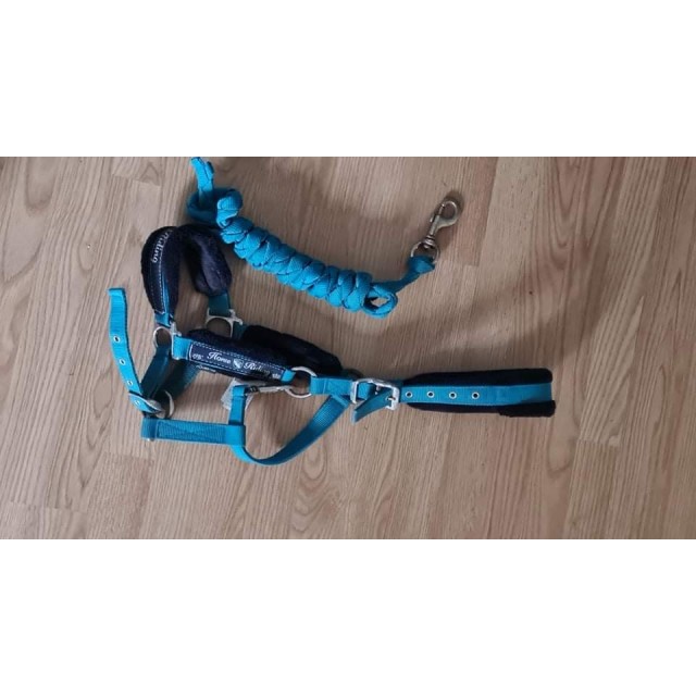 Lot équitation bleu