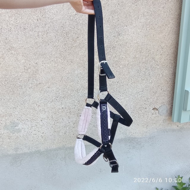 licol noir et rose cheval