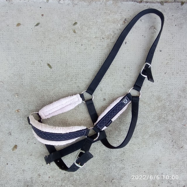 licol noir et rose cheval