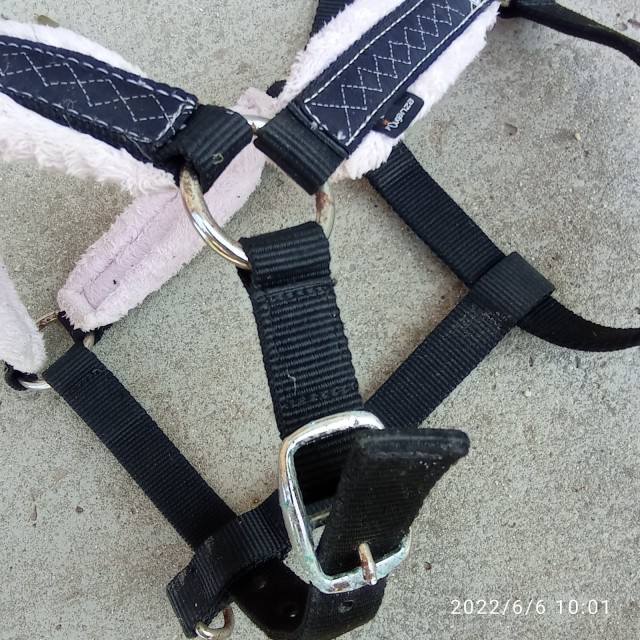 licol noir et rose cheval