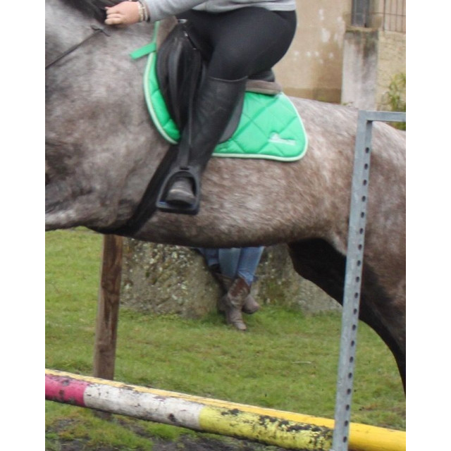 Tapis imperméable vert