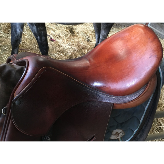 selle childeric 2015