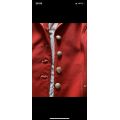 Veste concours rouge