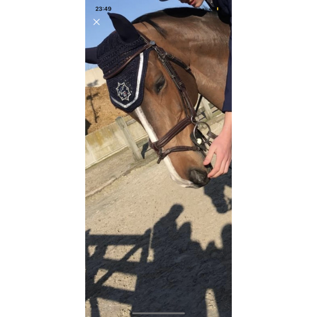 Filet Hervé Godignon