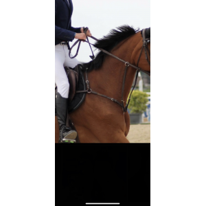 collier de chasse herve godignon taille 2