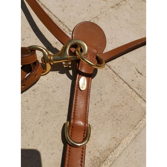 COLLIER DE CHASSE + MARTINGALE ERIC THOMAS