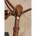 COLLIER DE CHASSE + MARTINGALE ERIC THOMAS