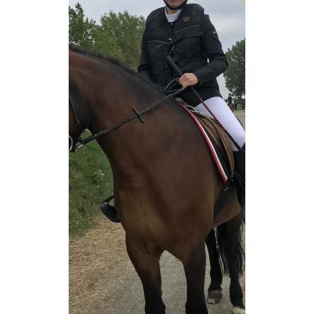 Air bag spark complet