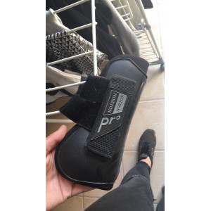 Guettes poney Norton PRO noir